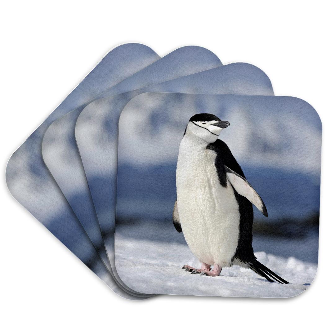 3dRose, Half Moon Island lies in the entrance to Moon Bay an its home to Chinstrap penguin nests , Coaster and other Wholesale half moon bay for your store trending on Faire.