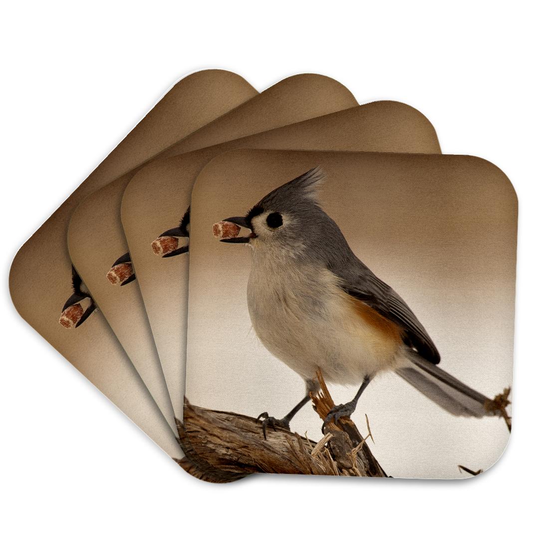 3dRose, Bird loves peanuts, Coaster and other Wholesale peanuts for birds for your store trending on Faire.