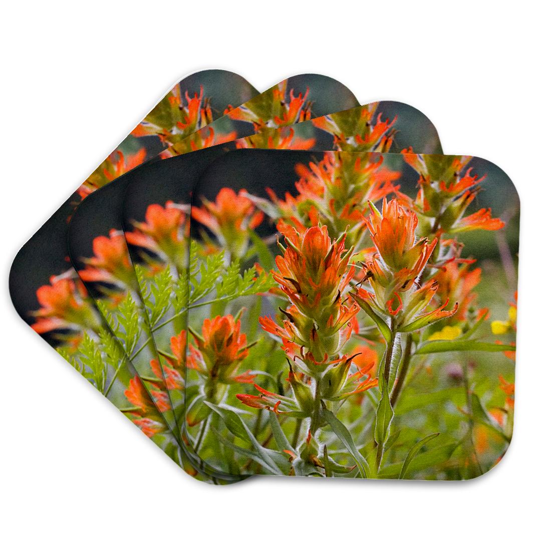 3dRose, Indian Paintbrushes, Coaster and other Wholesale indian paintbrush for your store trending on Faire.
