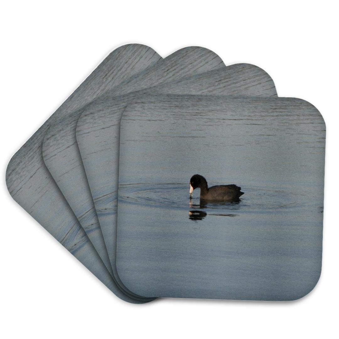 3dRose, American Coot, Coaster and other Wholesale coot decoys for your store trending on Faire.