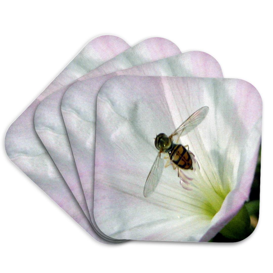 3dRose, Tiny Bee on a Morning Glory, Coaster and other Wholesale glory bee for your store trending on Faire.