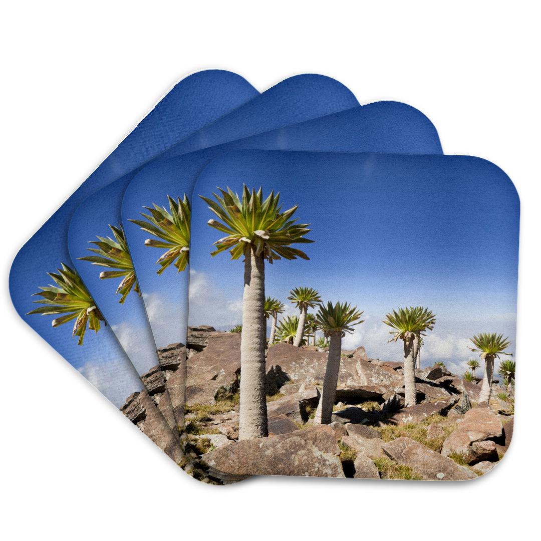 3dRose, Ethiopian Giant Lobelia, Simien Mountains, Ethiopia - AF16 MZW0140 - Martin Zwick, Coaster and other Wholesale lobelia for your store trending on Faire.