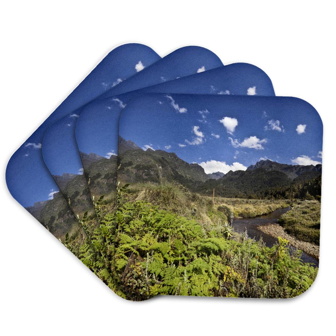 3dRose, Bigo Bog, giant lobelia flora, Carex, East Africa - AF48 MZW0073 - Martin Zwick, Coaster and other Wholesale lobelia for your store trending on Faire.