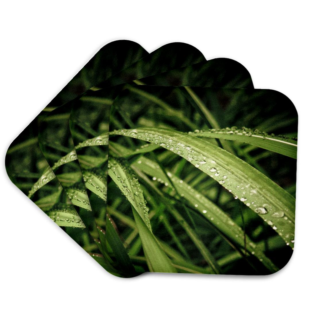 3dRose, Morning Dew, Coaster and other Wholesale morning dew for your store trending on Faire.