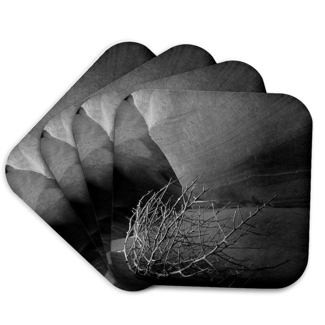 3dRose, Tumbleweed, antelope canyon, Page, Arizona, USA - US03 AJE0047 - Adam Jones, Coaster and other Wholesale tumbleweed design studio for your store trending on Faire.