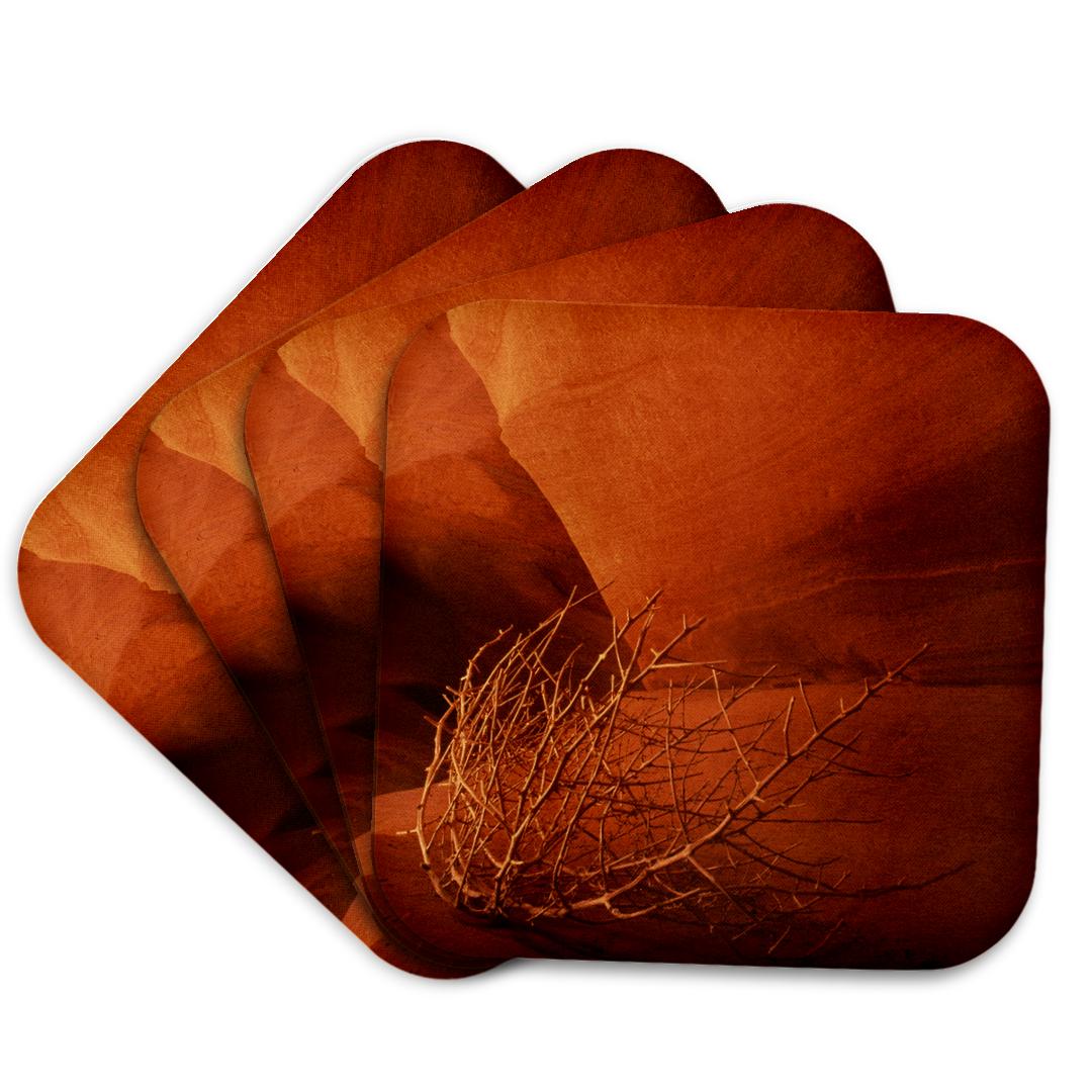 3dRose, Tumbleweed, antelope canyon, Page, Arizona, USA - US03 AJE0048 - Adam Jones, Coaster and other Wholesale tumbleweed design studio for your store trending on Faire.