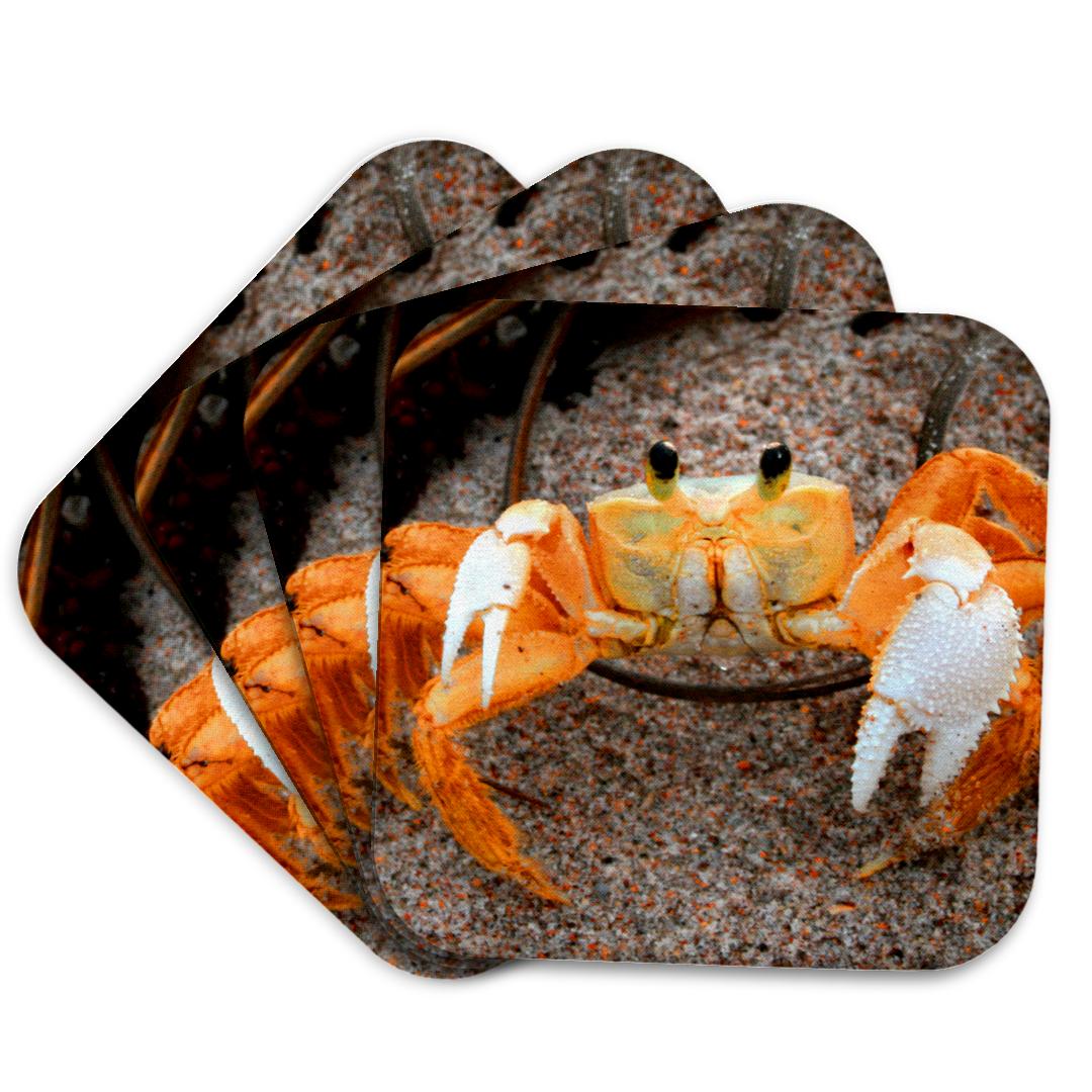 3dRose, Fiddler Crab On Beach Colorized Orange copy , Coaster and other Wholesale fiddler crabs for your store trending on Faire.