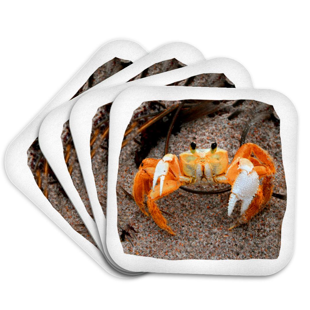 3dRose, Fiddler Crab On Beach Colorized Orange, Coaster and other Wholesale fiddler crabs for your store trending on Faire.