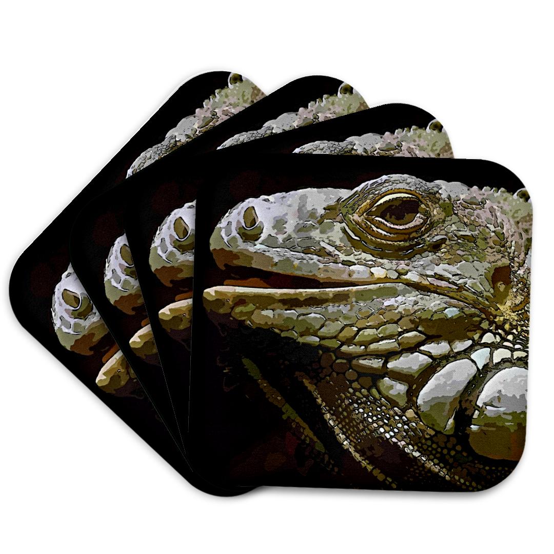 3dRose, Iguana, Coaster and other Wholesale divine iguana for your store trending on Faire.