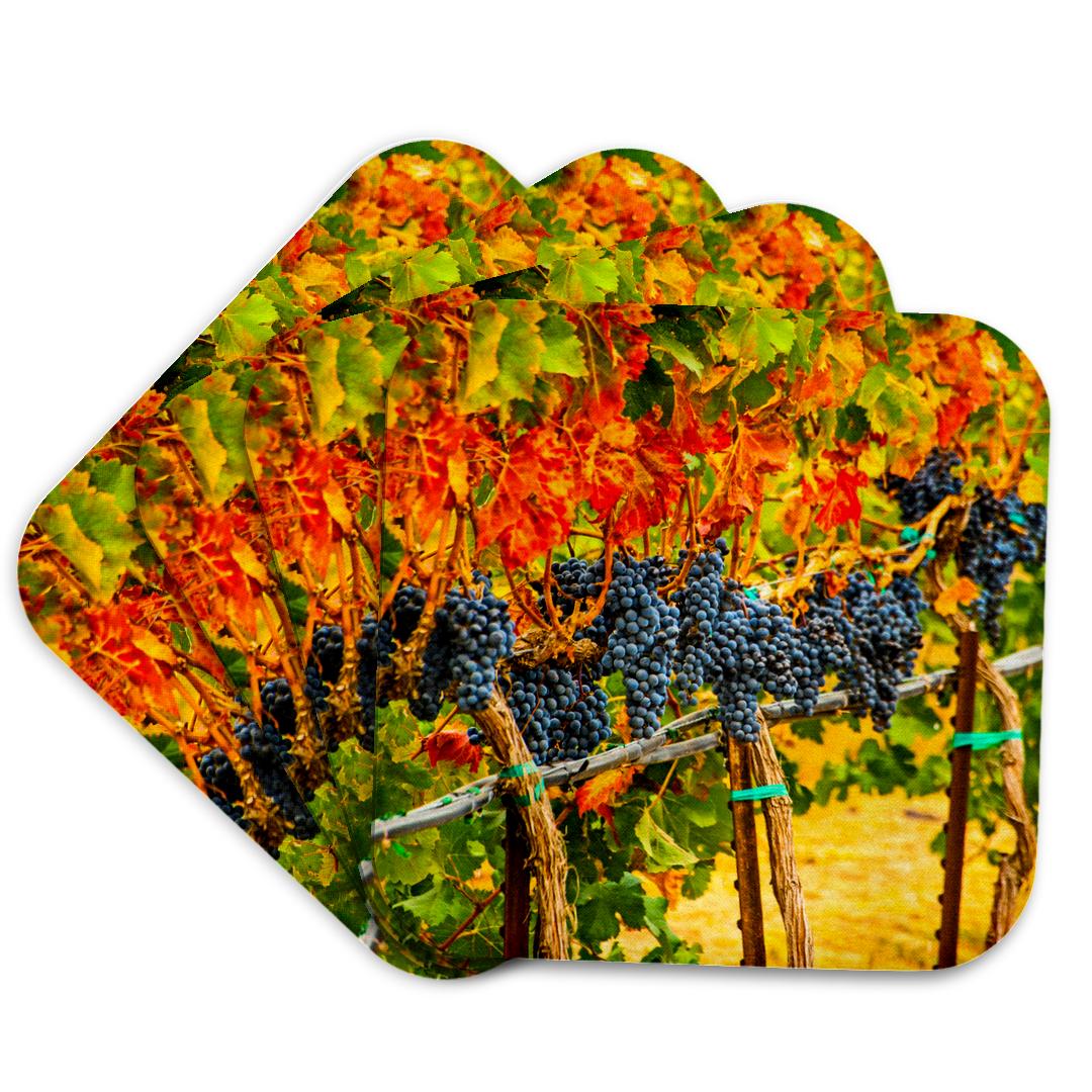 3dRose, USA, Eastern Washington. Cabernet Sauvignon grapes., Coaster and other Wholesale cabernet for your store trending on Faire.