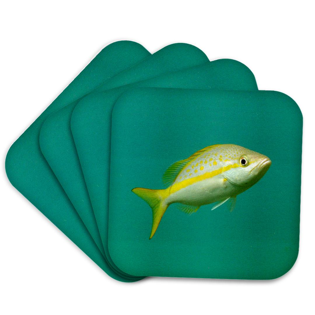 3dRose, Yellowtail Snapper, Coaster and other Wholesale b yellowtail for your store trending on Faire.