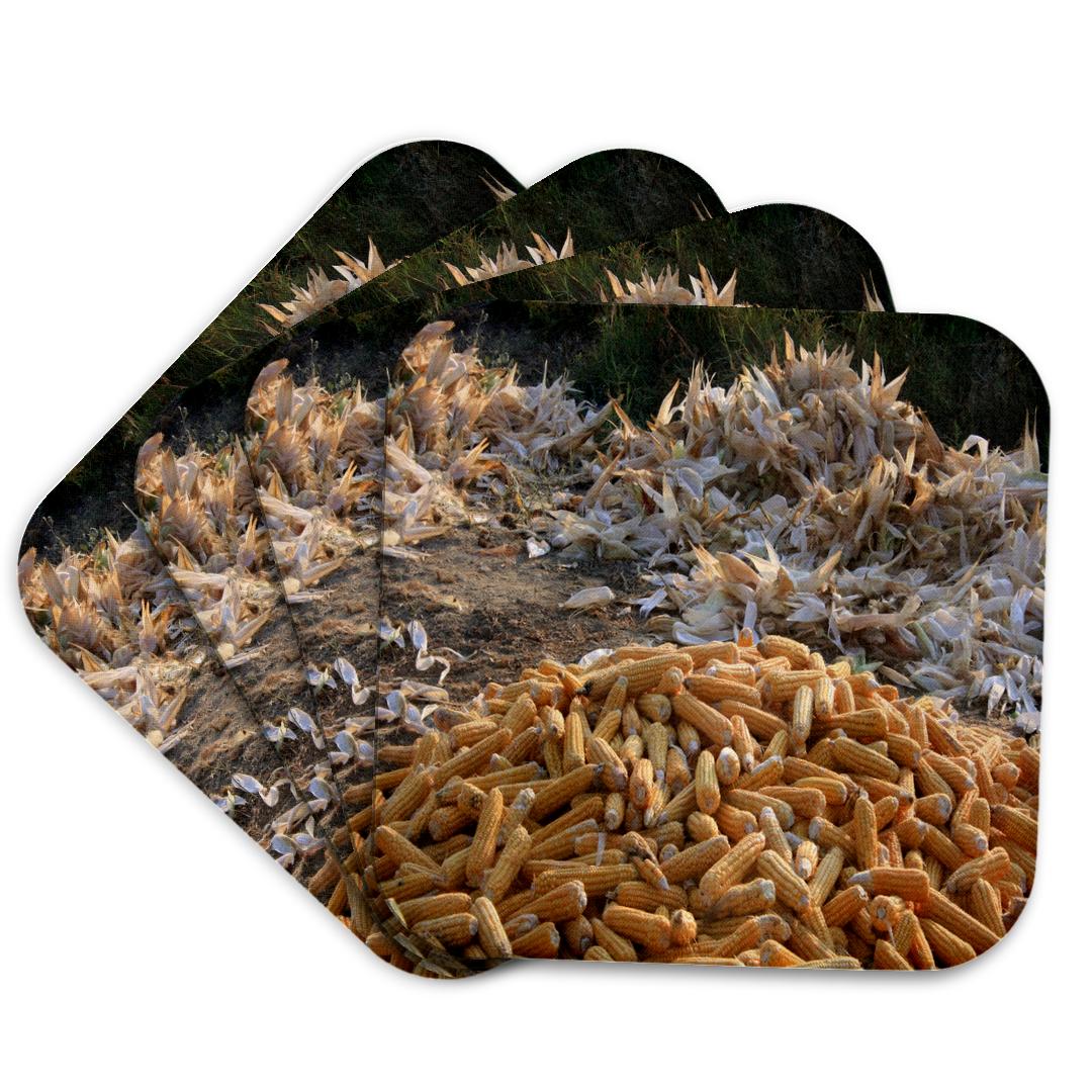 3dRose, Sweet Corn and Husks, Coaster and other Wholesale corn husks for your store trending on Faire.