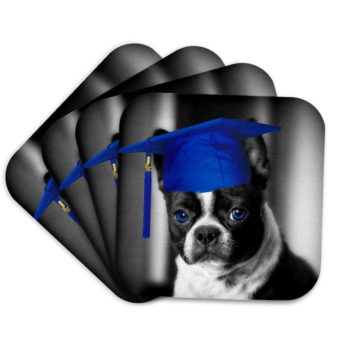 3dRose, Cute French Bull Dog in a Royal Blue Graduation Hat Tinted Photograph, Coaster and other Wholesale french bull for your store trending on Faire.