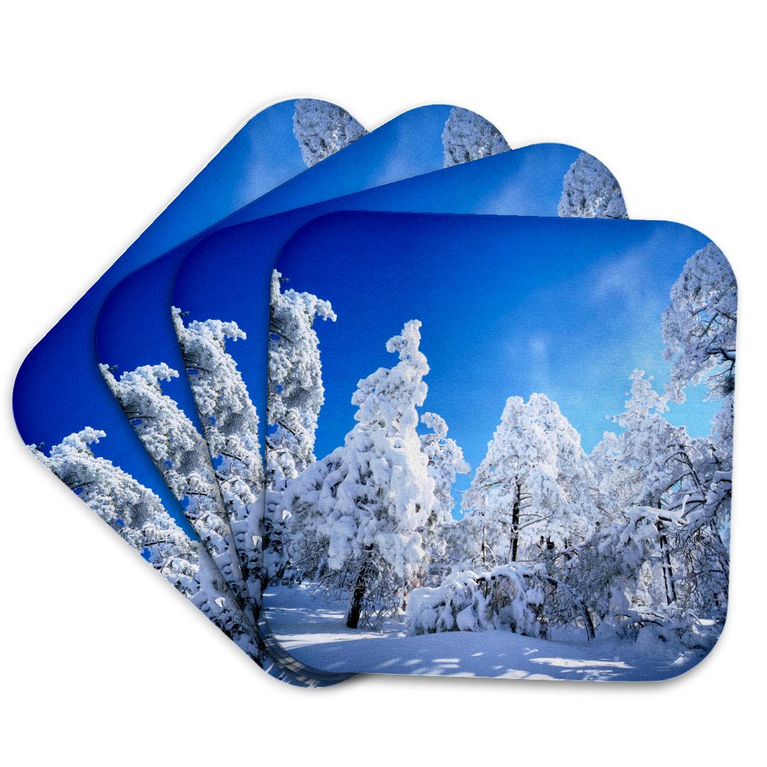 3dRose, Snow on the trees in the Laguna Mountains., Coaster and other Wholesale snowing west for your store trending on Faire.