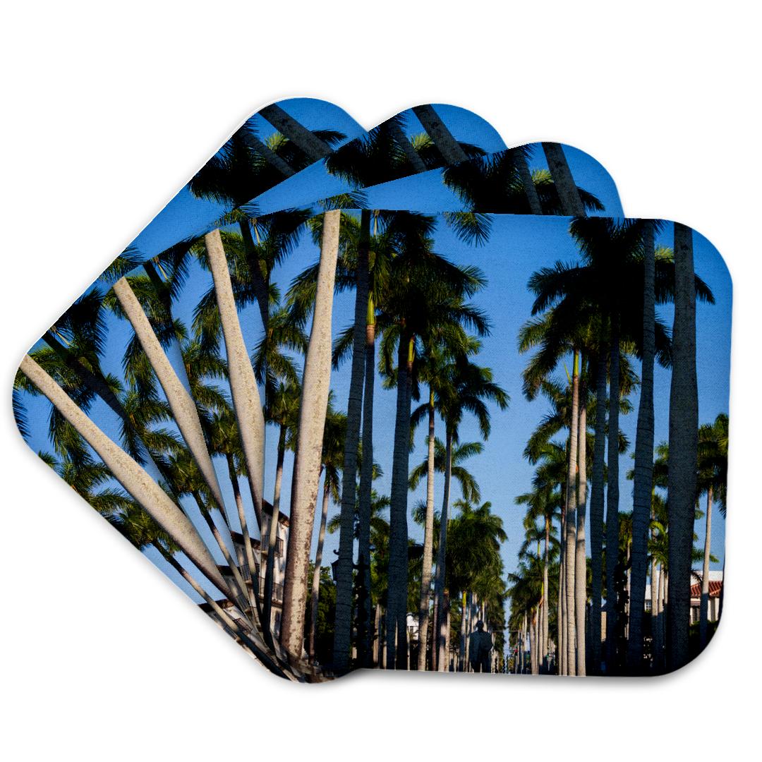 3dRose, USA, Florida, Palm Beach, palms on Royal Palm Way., Coaster and other Wholesale palmex for your store trending on Faire.