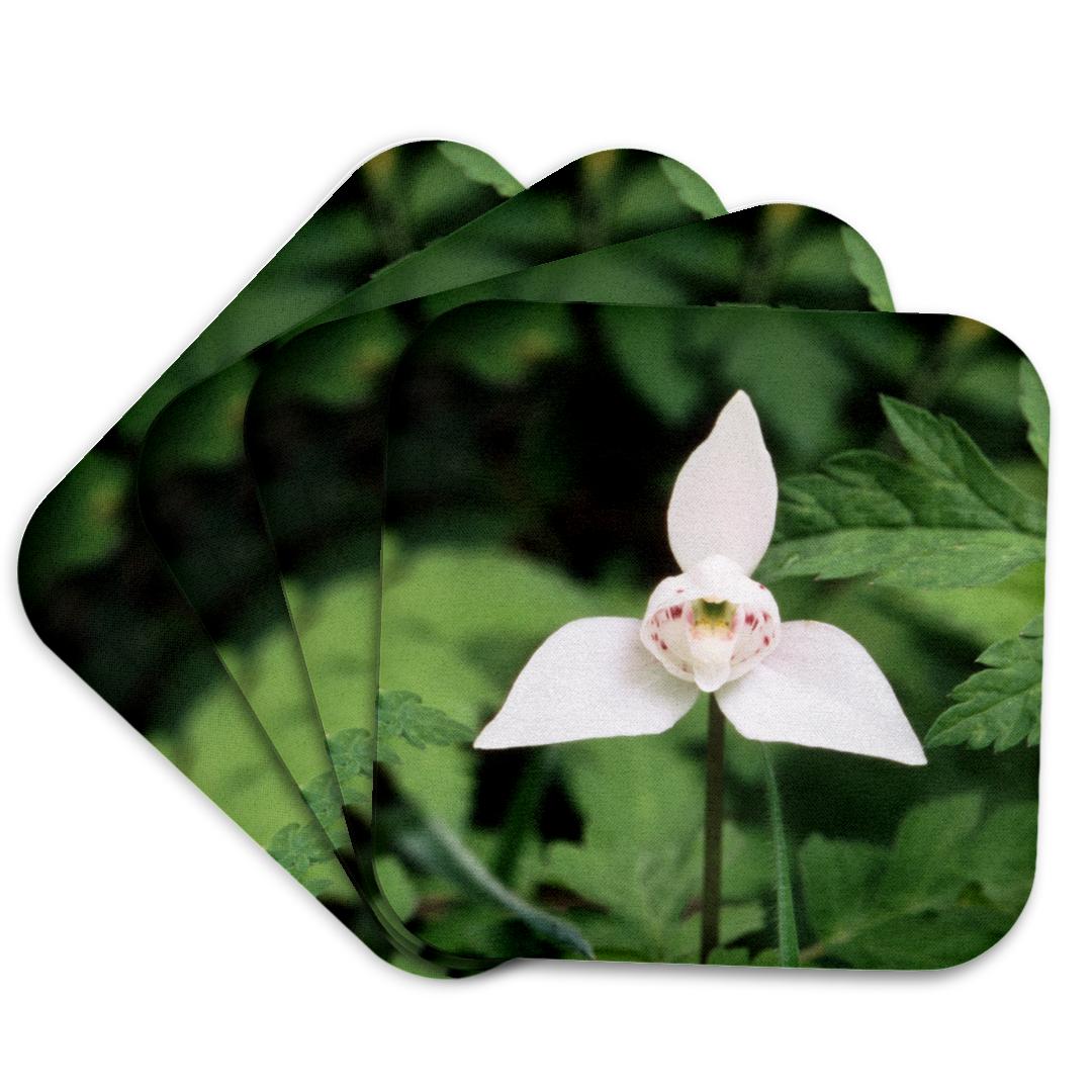 3dRose, Chile, Patagonia, Magallanes, Torres del Paine NP, Orchid., Coaster and other Wholesale patagonia for your store trending on Faire.