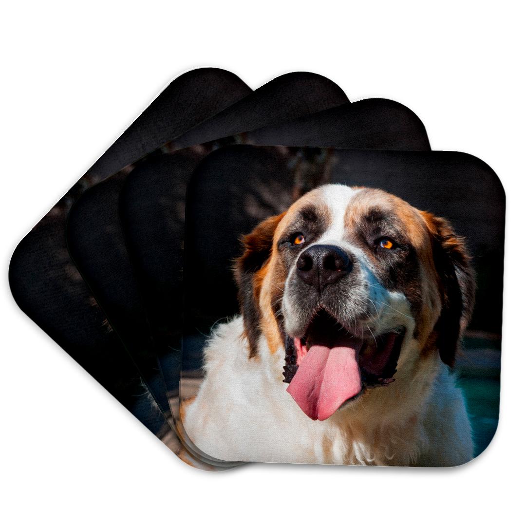 3dRose, Portrait of a Saint Bernard, MR,, Coaster and other Wholesale john bernard for your store trending on Faire.