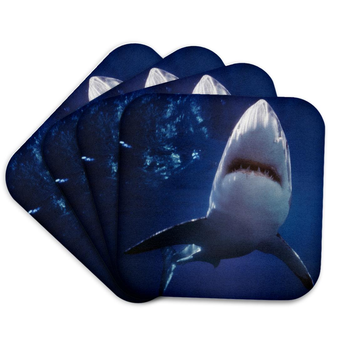 3dRose, Great White Shark on sea , Coaster and other Wholesale great white for your store trending on Faire.