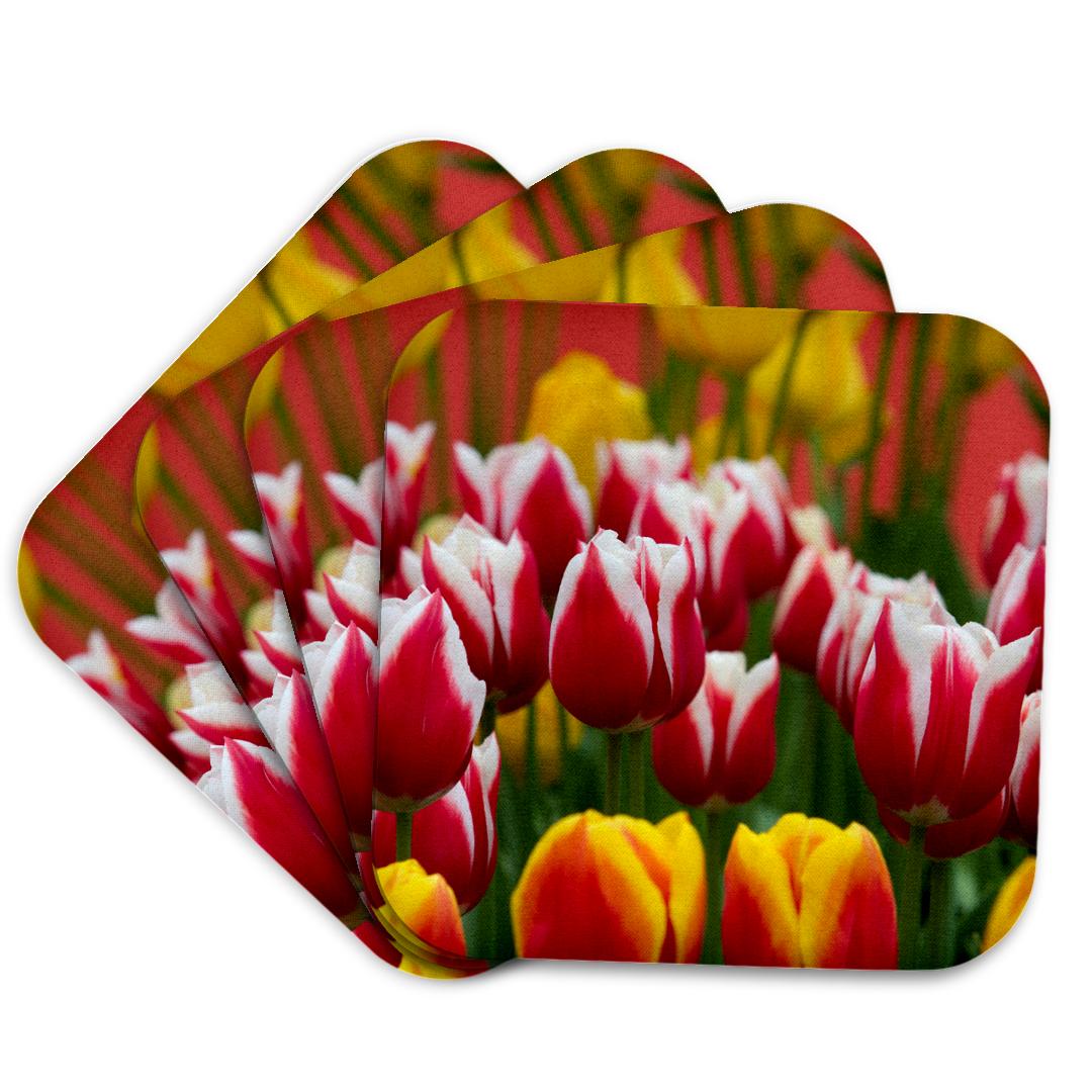 3dRose, Tulips in Keukenhof, Lisse, Netherlands., Coaster and other Wholesale kessho for your store trending on Faire.