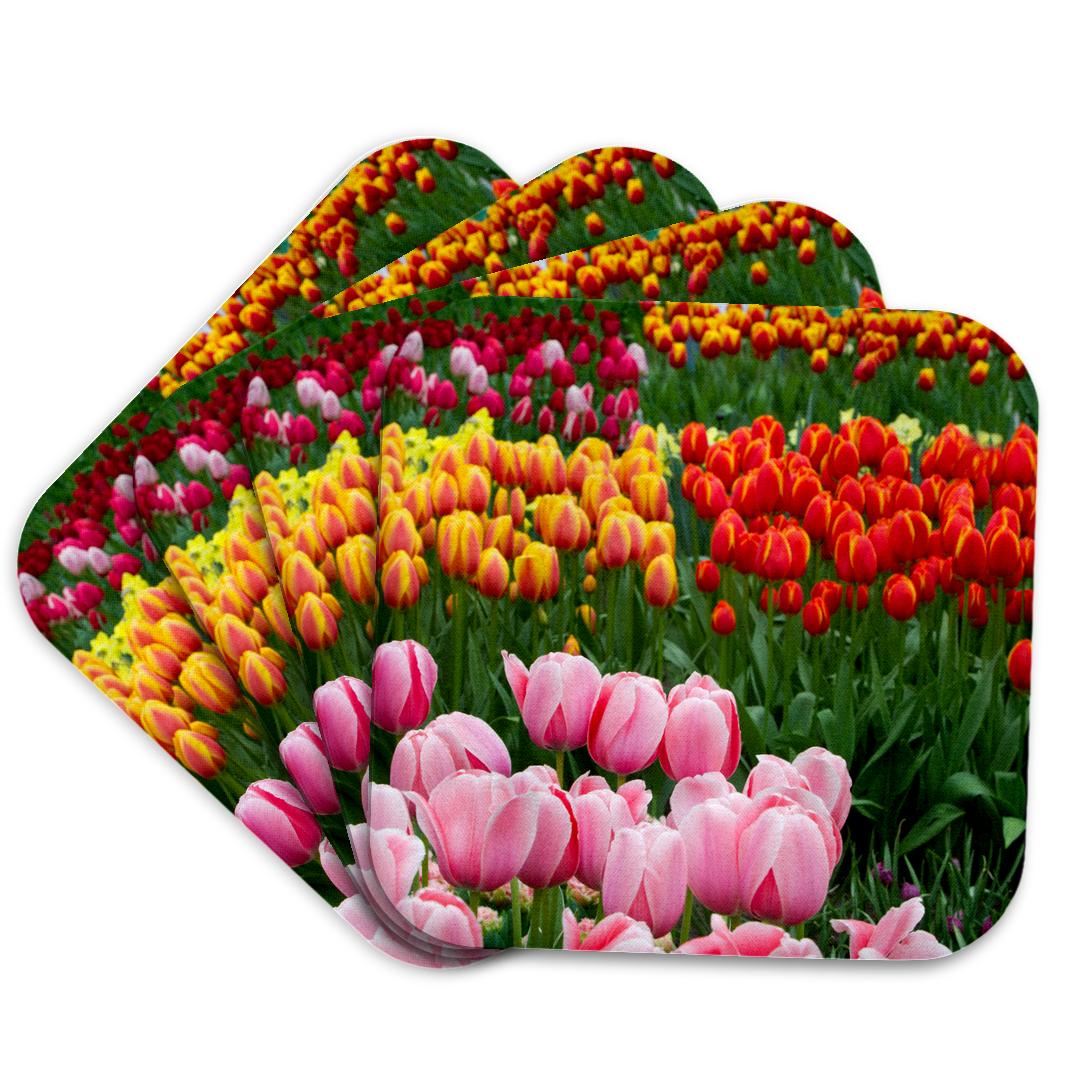 3dRose, Tulips in Keukenhof, Lisse, Netherlands., Coaster and other Wholesale kessho for your store trending on Faire.