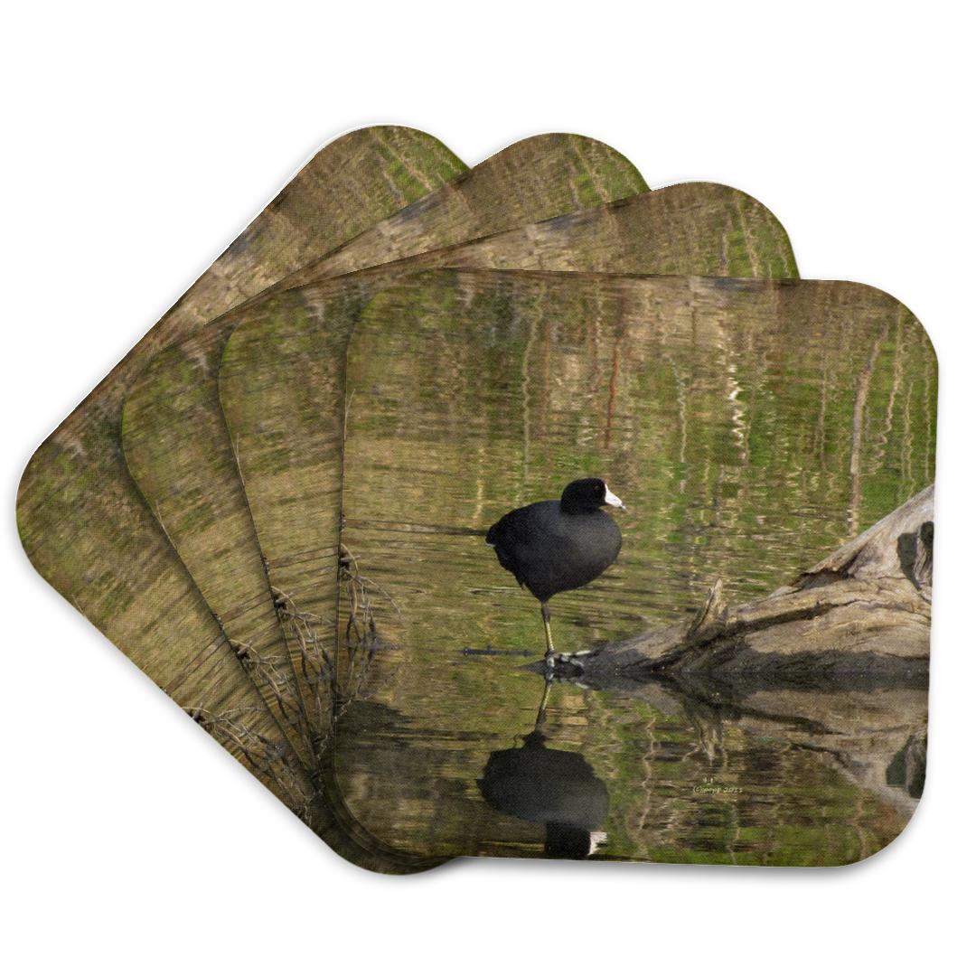 3dRose, American Coot, Coaster and other Wholesale coot decoys for your store trending on Faire.
