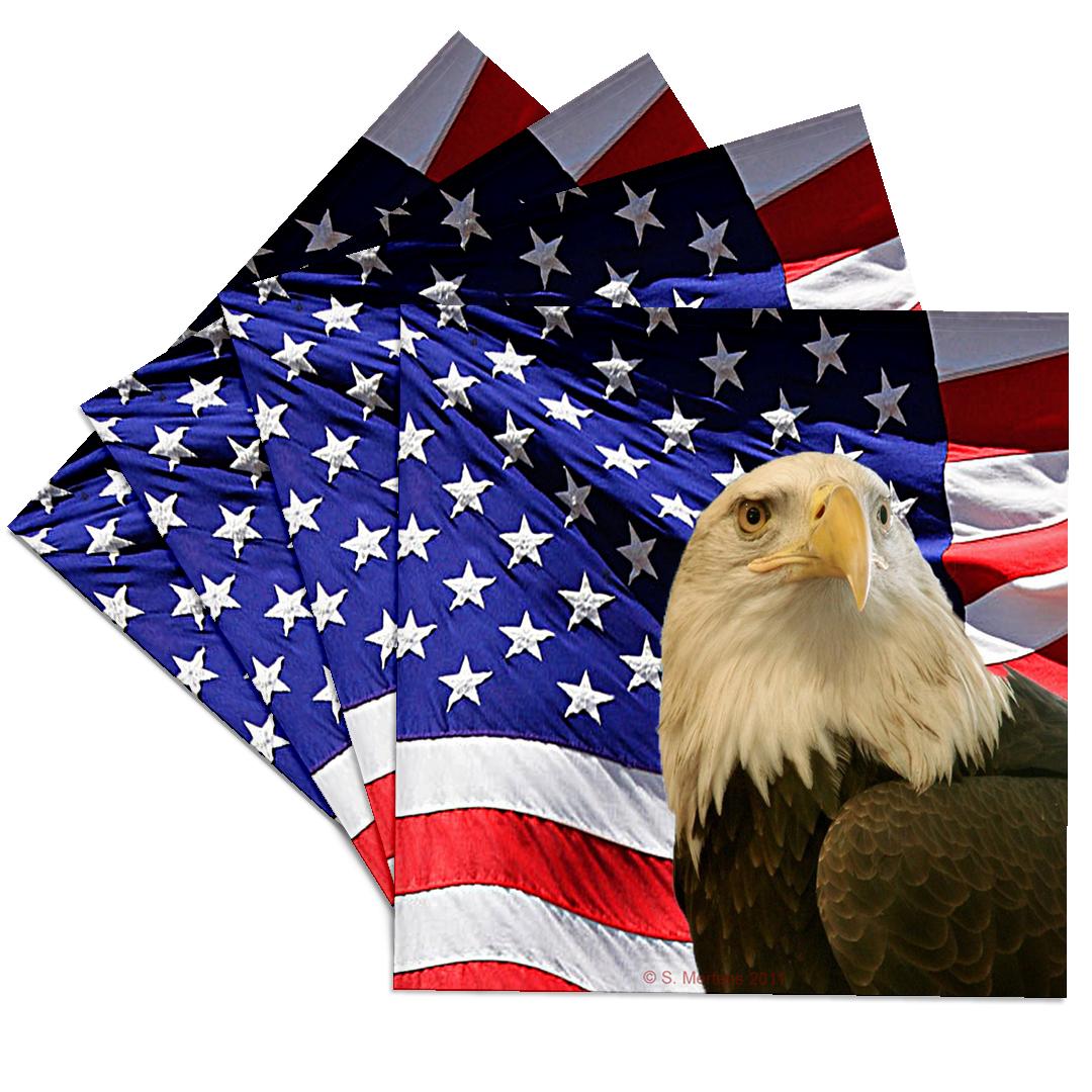 3dRose, Bald Eagle and American Flag, Coaster - Picture 8 of 35