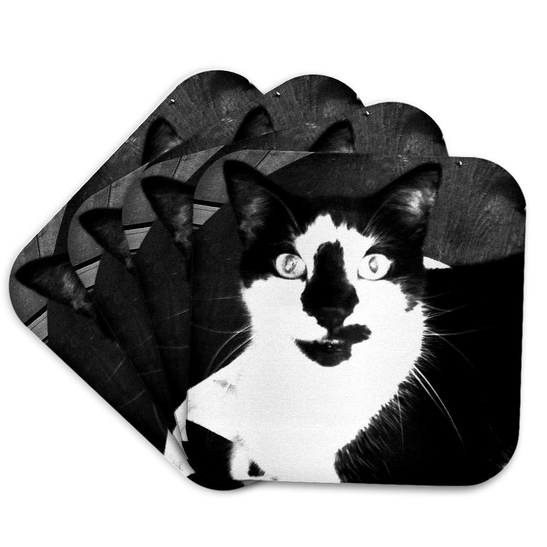 3dRose, Fat Cat Black, Coaster and other Wholesale fat cat for your store trending on Faire.