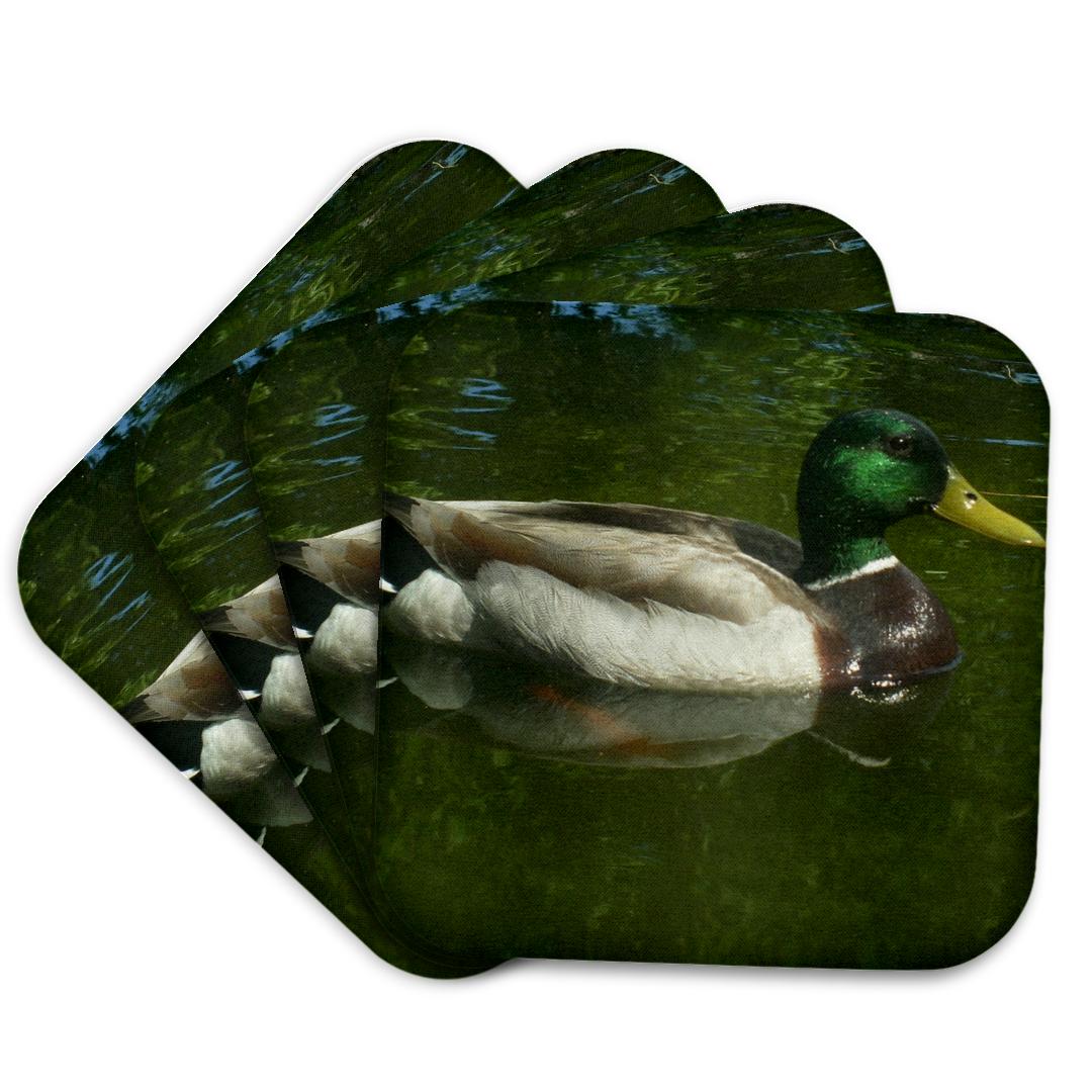 3dRose, Mallard Duck Floating Gracefully, Coaster and other Wholesale floating rubber ducks for your store trending on Faire.