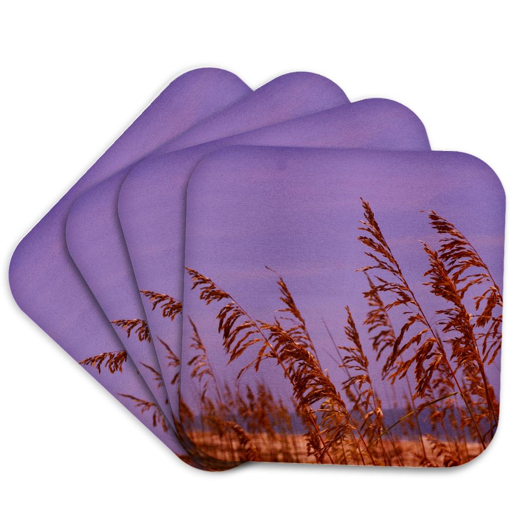 3dRose, Windy Sea Oats, Coaster and other Wholesale windy oconnor for your store trending on Faire.