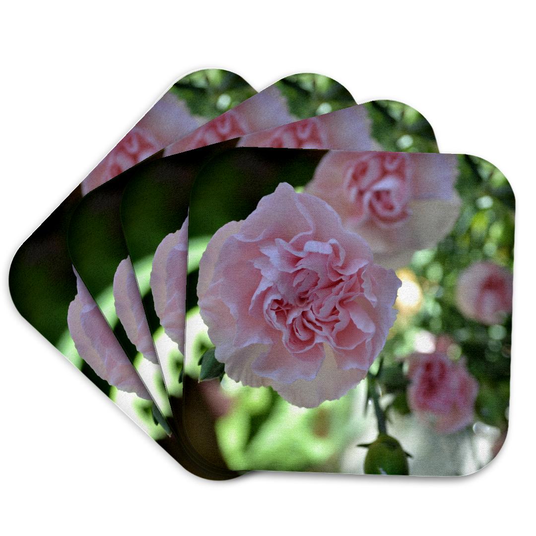 3dRose, Pink Carnations Floral, Coaster and other Wholesale pink carnations for your store trending on Faire.