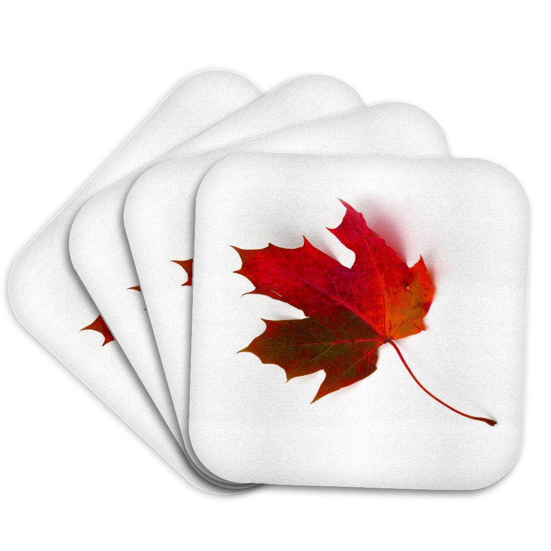 3dRose, Fallen Rusty Maple Leaf , Coaster and other Wholesale maple leaf for your store trending on Faire.