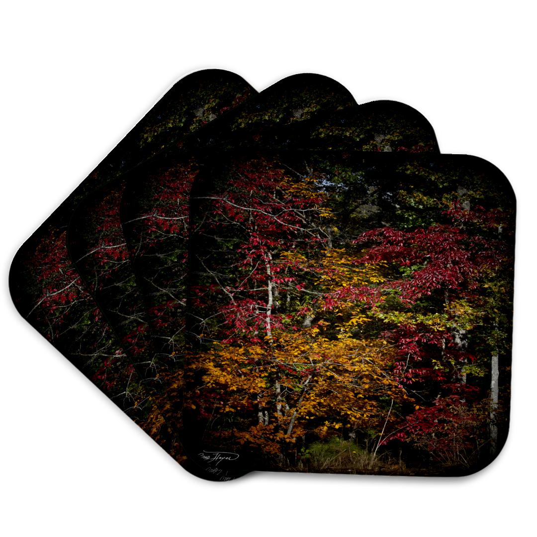 3dRose, Fall Colors Pop - Tress Showing Their Best Colors Fall, Coaster and other Wholesale tres bien for your store trending on Faire.