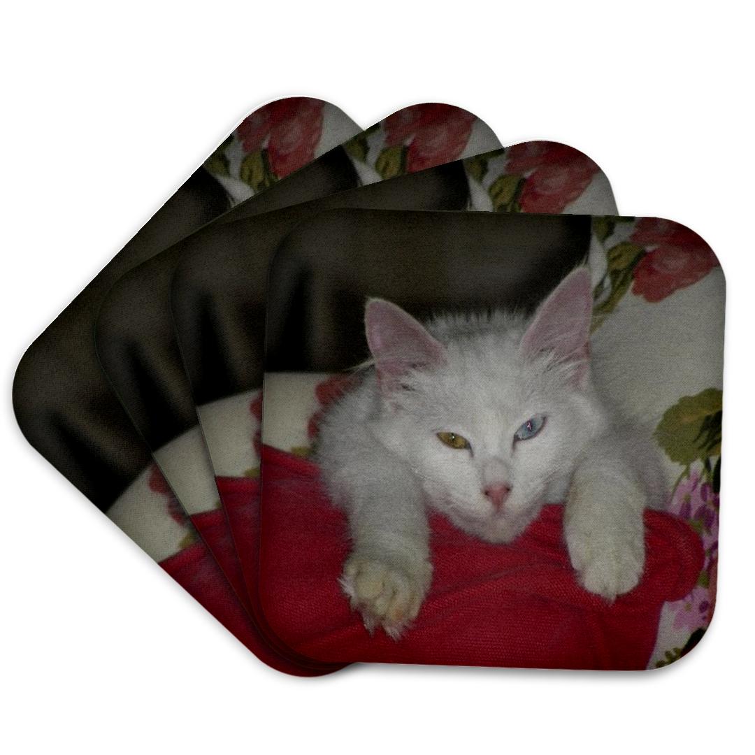 3dRose, Turkish Van Cat Sleeping - van cat, feline, cat breed, turkish van breeders, animal, domesticated, , Coaster and other Wholesale cat breeder for your store trending on Faire.