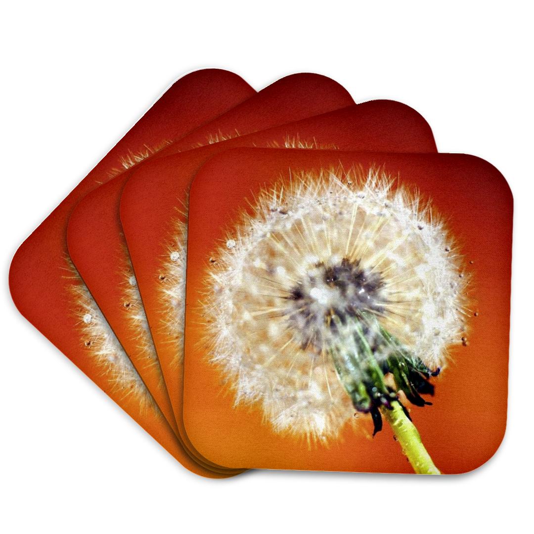3dRose, Dandelion Dandy, Coaster and other Wholesale dandy for your store trending on Faire.