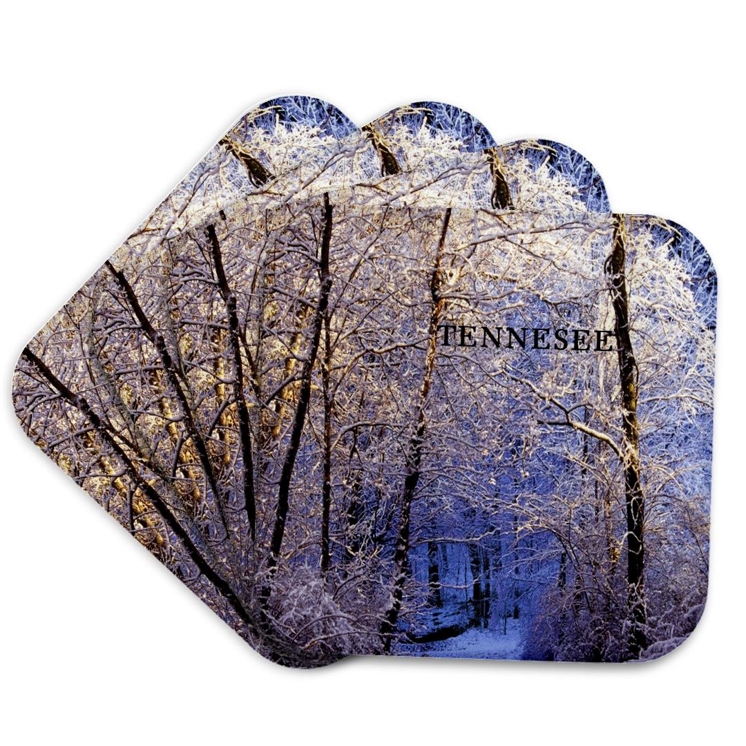 3dRose, Snow In Forest In Nashville Tennesee, Coaster and other Wholesale tennesee for your store trending on Faire.