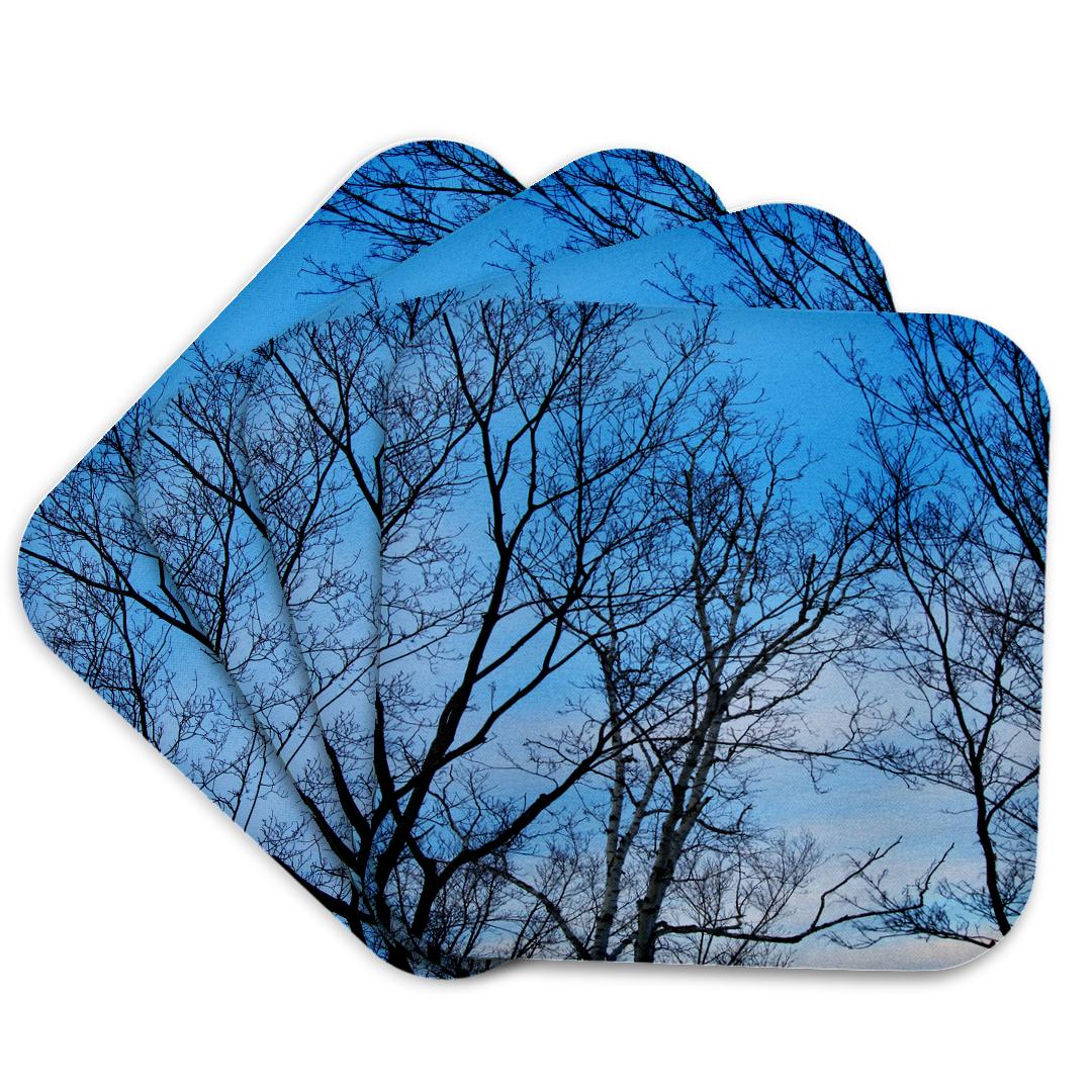 3dRose, arbres magnifiques, ciel bleu, sous-verre et autres tendances Blue sky en vente B2B pour votre magasin sur Faire.