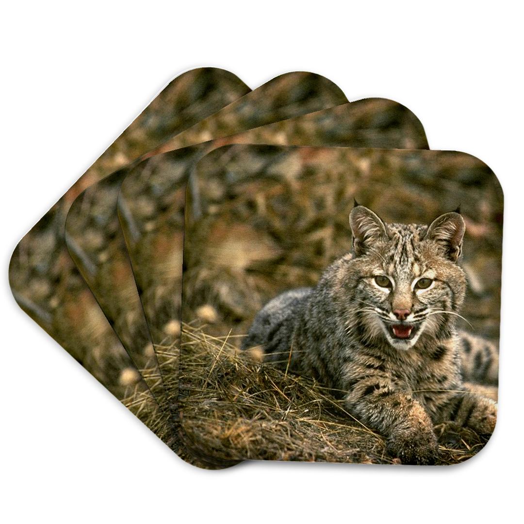 3dRose, Bobcat, Coaster and other Wholesale supermercato for your store trending on Faire.