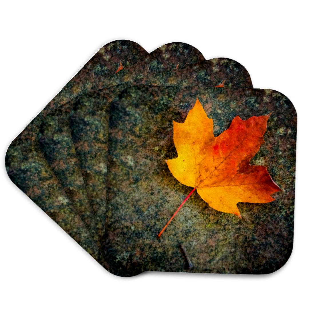 3dRose, Orange Maple Leaf on Rock Face, Coaster and other Wholesale maple leaf for your store trending on Faire.