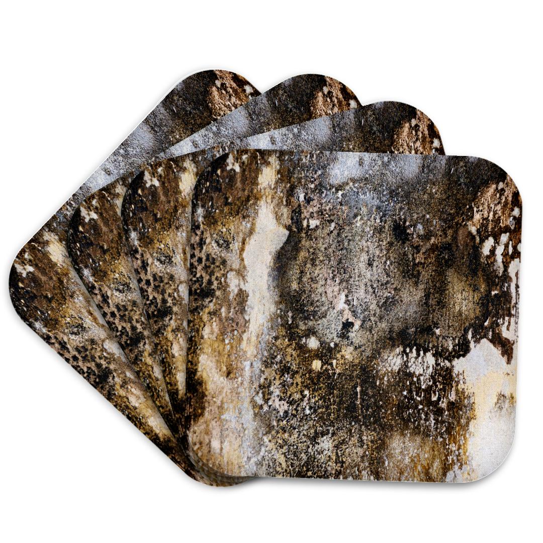 3dRose, Grungy Mold Pattern, Coaster and other Wholesale grüner affe for your store trending on Faire.