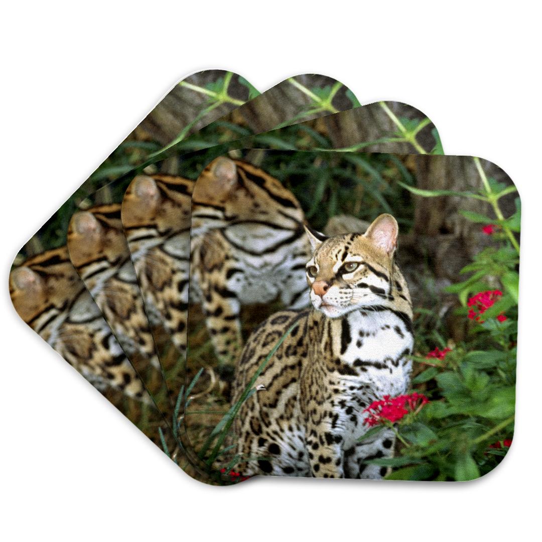 3dRose, Ocelot wildlife - NA02 DNO0311 - David Northcott, Coaster and other Wholesale ocelot for your store trending on Faire.