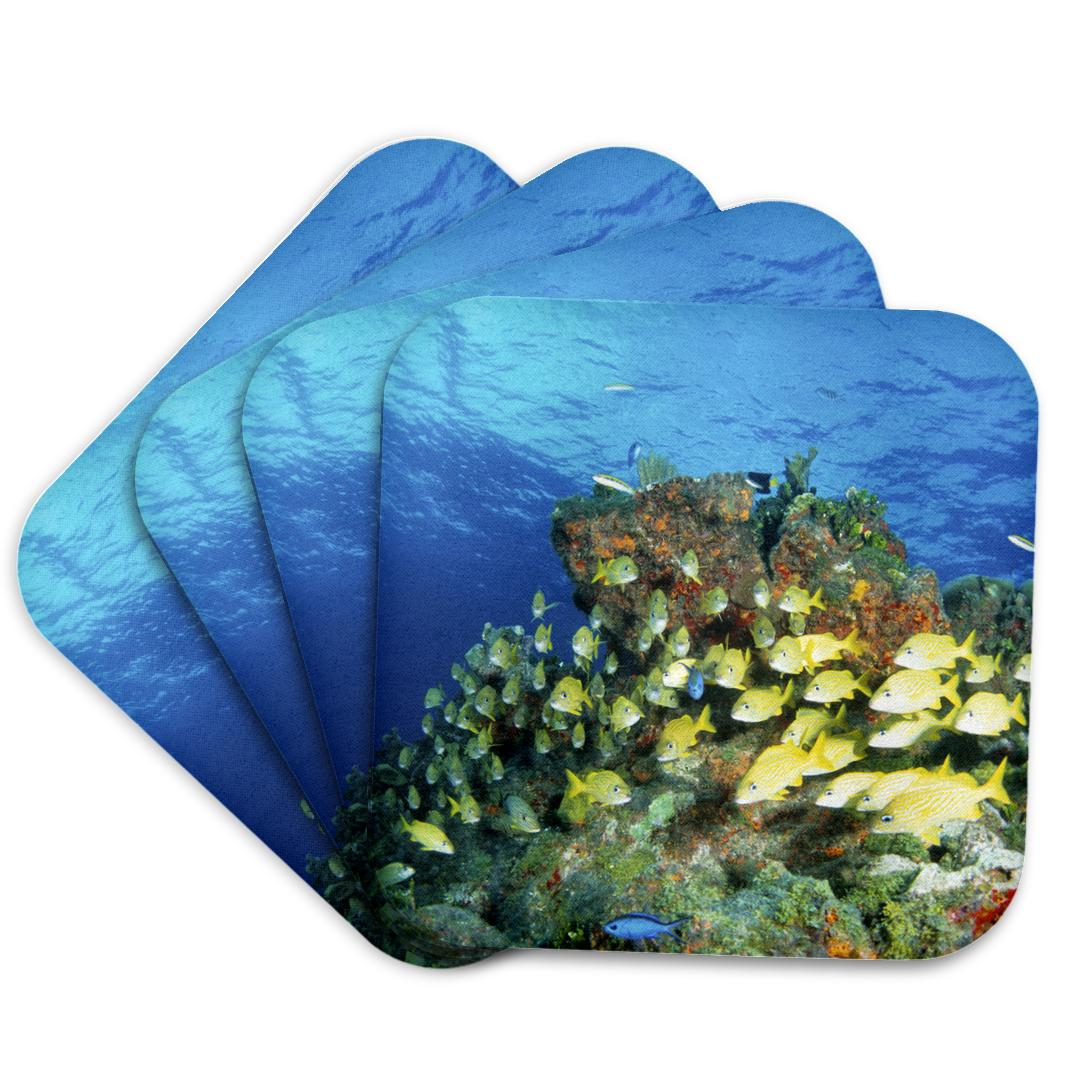 3dRose, Bluestriped grunt fish, Caribbean - NA02 MDE0014 - Michael DeFreitas, Coaster and other Wholesale grunt style for your store trending on Faire.