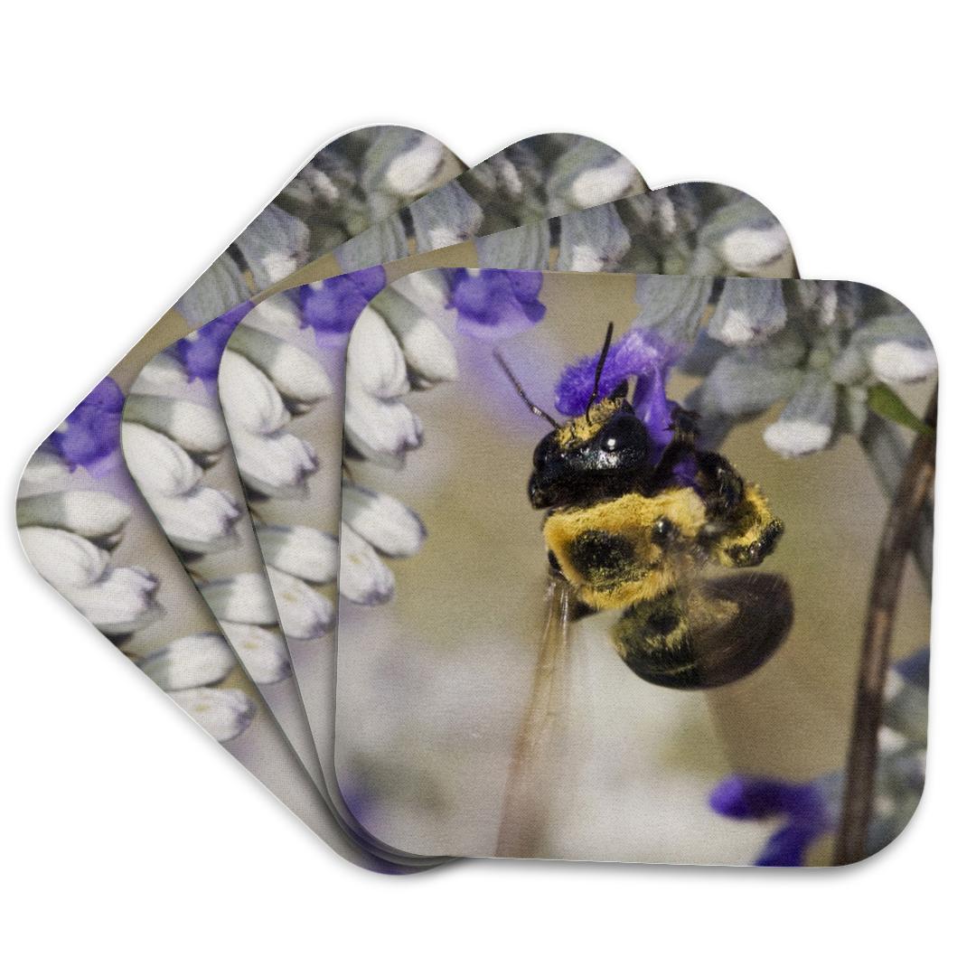 3dRose, Carpenter Bee feeding, Hill Country, Texas - NA02 RNU0475 - Rolf Nussbaumer, Coaster and other Wholesale rolf for your store trending on Faire.