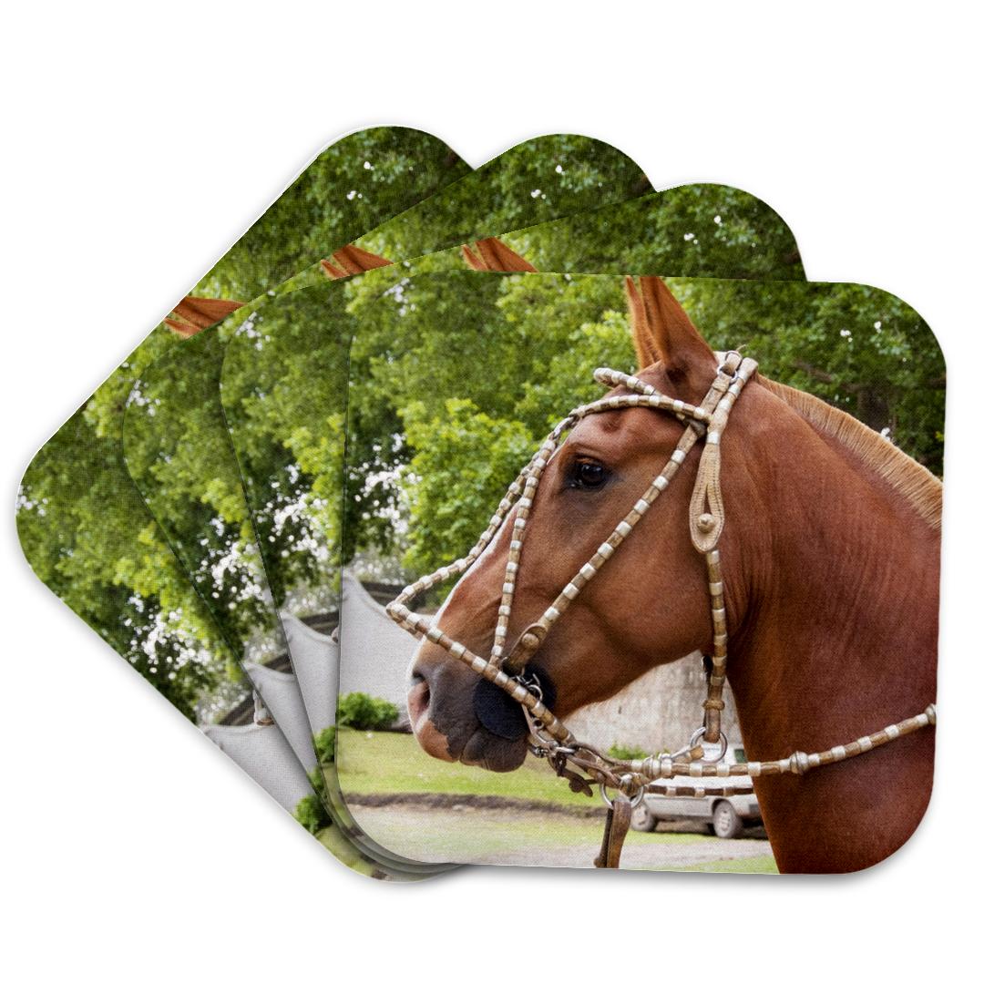 3dRose, Argentina, Cordoba, Horse, gaucho cowboy - SA01 JRI0044 - Jutta Riegel, Coaster and other Wholesale riegel for your store trending on Faire.