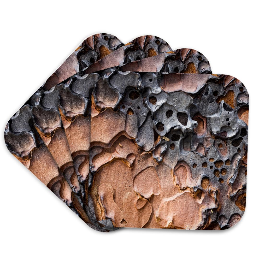 3dRose, écorce de pin ponderosa, parc national de Yosemite, Californie - US05 JGS0118 - Jim Goldstein, sous-verre et autres tendances Ecorces pin en vente B2B pour votre magasin sur Faire.