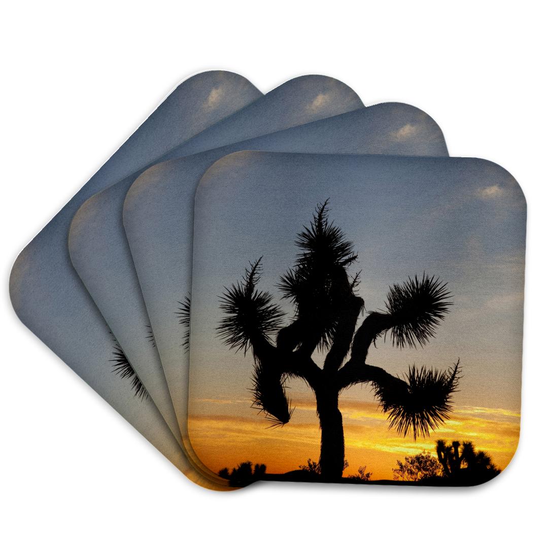 Joshua Tree NP, Joshua tree at sunrise - US05 JWI0275 - Jamie and Coaster and other Wholesale npw for your store trending on Faire.