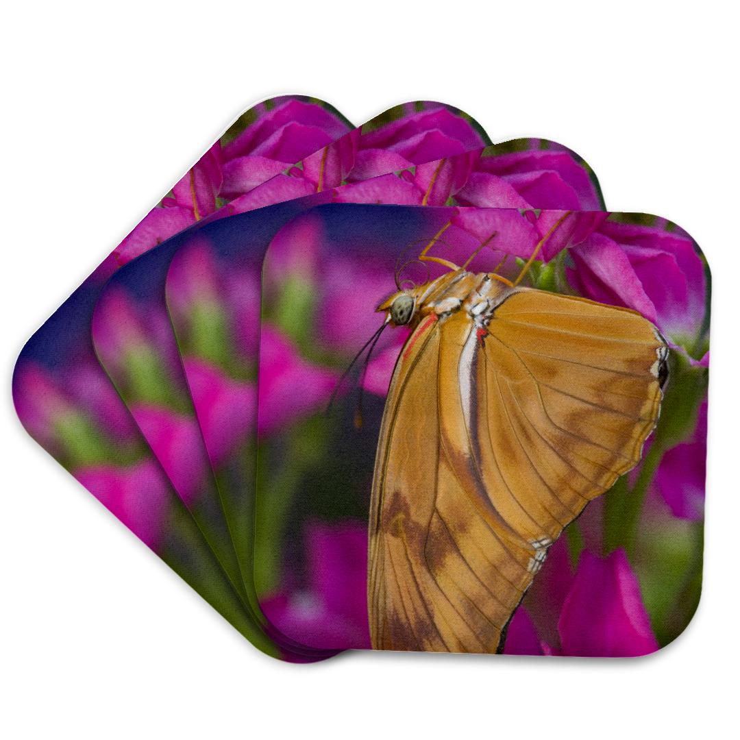 3dRose, Dryas Julia the Julia Butterfly - US48 DGU0398 - Darrell Gulin, Coaster and other Wholesale julia gash for your store trending on Faire.