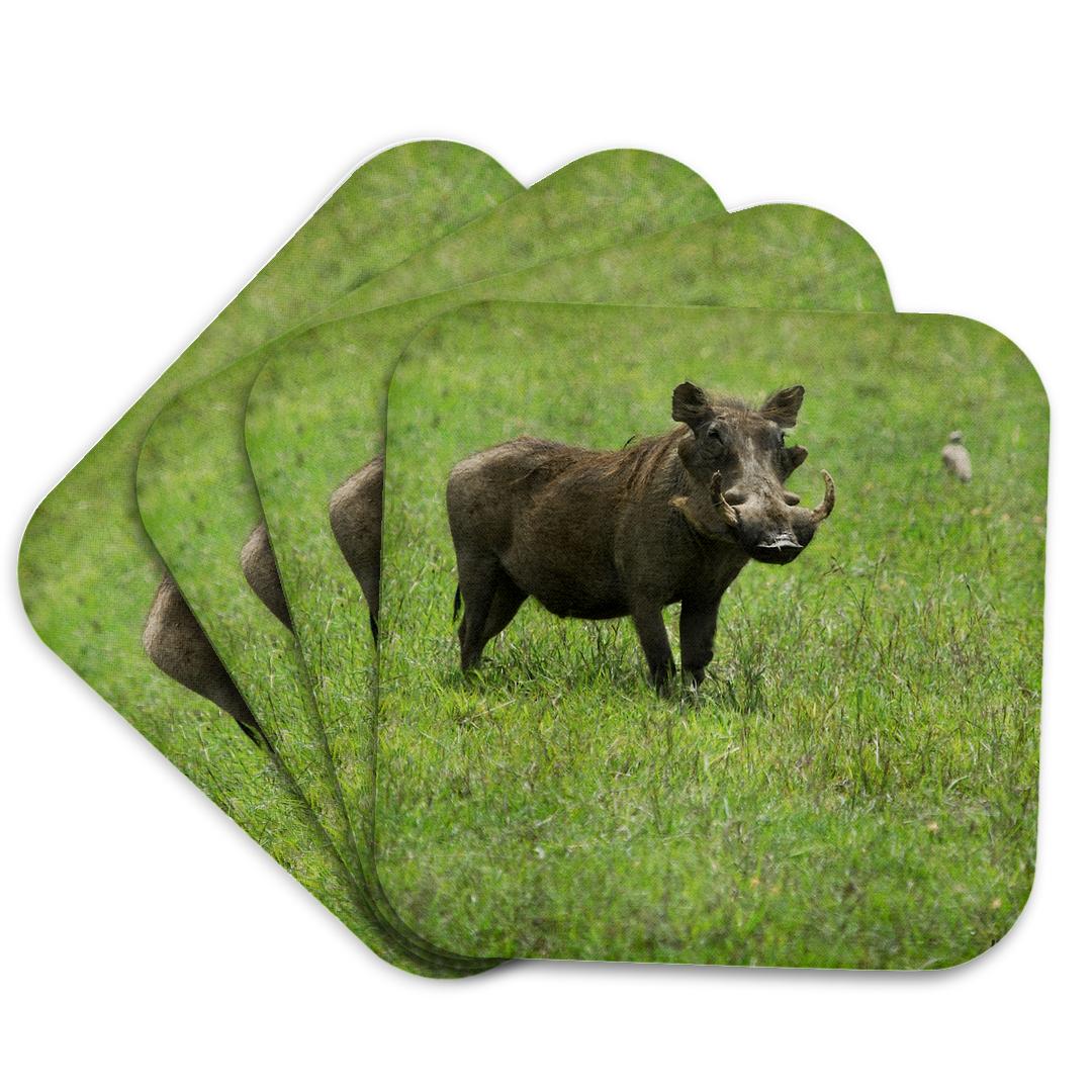 3dRose, Warhog at the Sweetwater Reserve, Coaster and other Wholesale sweetwater decor for your store trending on Faire.