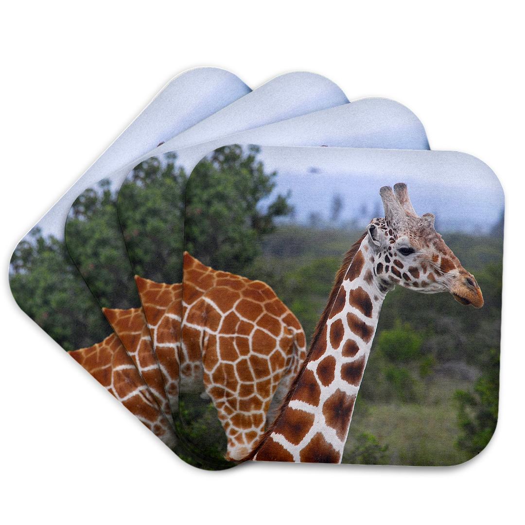 3dRose, Giraffes at the Sweetwater Reserve 2, Coaster and other Wholesale sweetwater decor for your store trending on Faire.