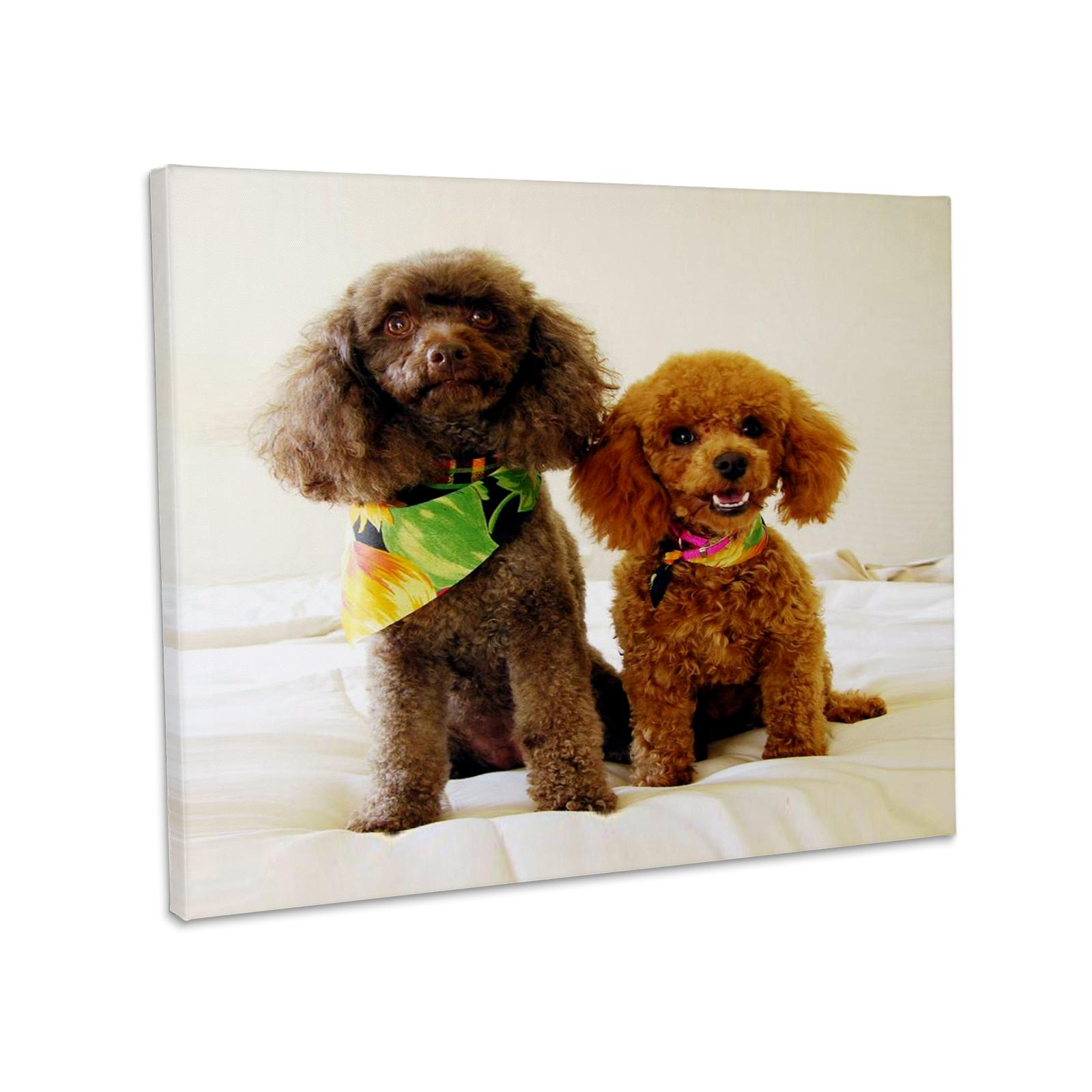 3dRose, Poedelpuppy's, Museumkwaliteit Canvasdoek voor wholesale door 3dRose