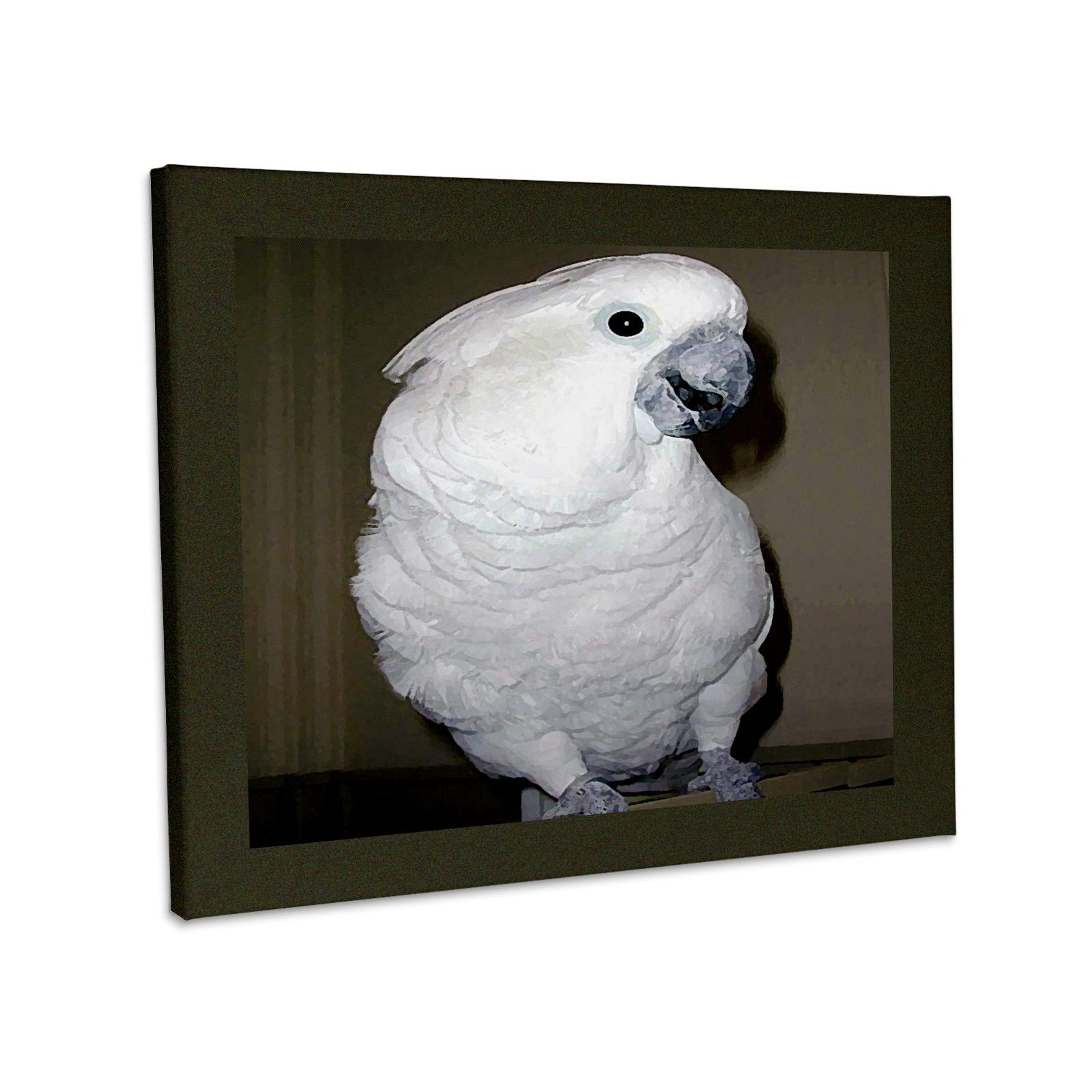 3dRose, Umbrella Cockatoo, Museum Grade Canvas Wrap and other Purchase wholesale umbrellas wedding. Free returns & net 60 terms on Faire trending on Faire.